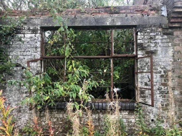 Unexpected Finds In The Forests (25 pics) Unexpected Finds In The Forests (25 pics)