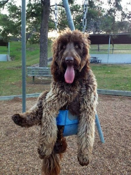 Cute Photos (50 pics)