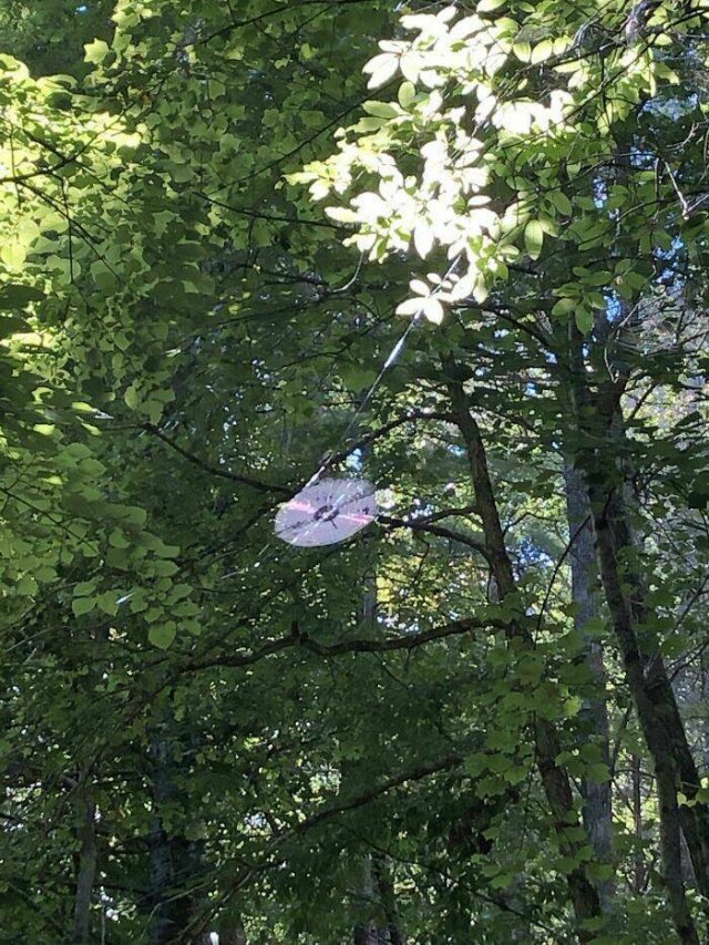 Interesting Finds And Photos (25 pics)