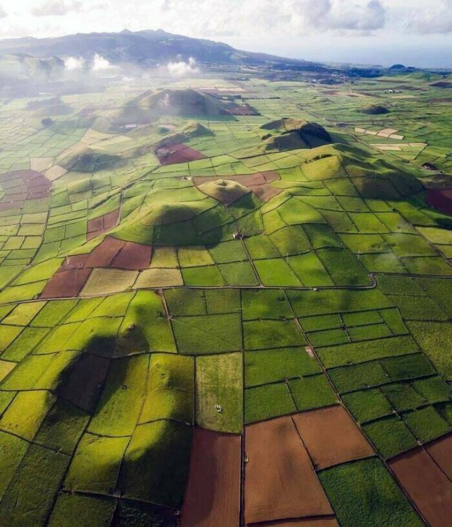 Interesting Finds And Photos (25 pics)