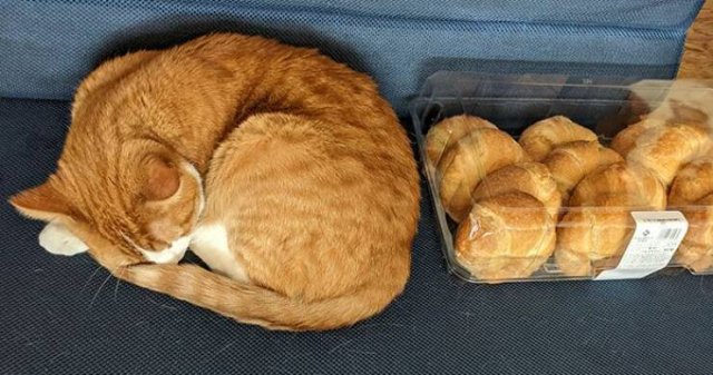 Interesting Finds And Photos (25 pics)