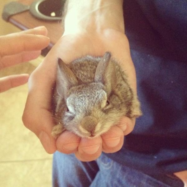 Cute Photos (50 pics)