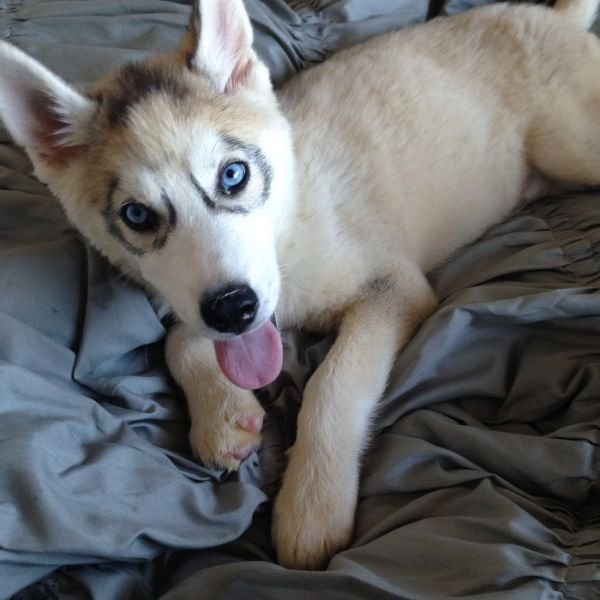 Cute Photos (50 pics)