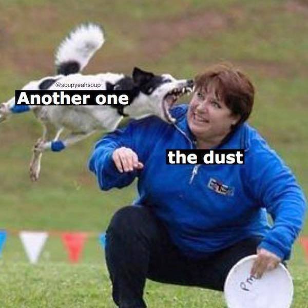 Funny Memes (48 pics)