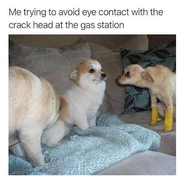 Funny Memes (48 pics)