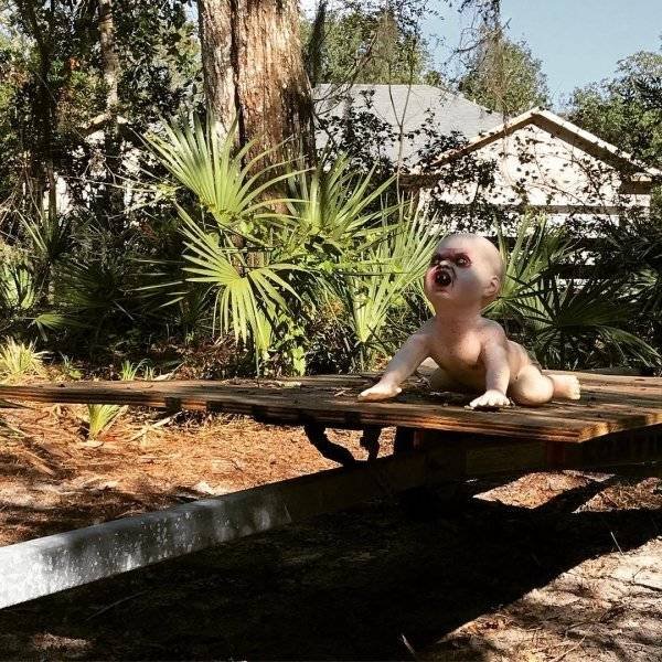 Hilarious Husbands (25 pics)