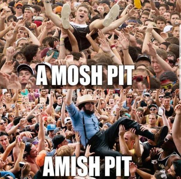 Funny Memes (48 pics)