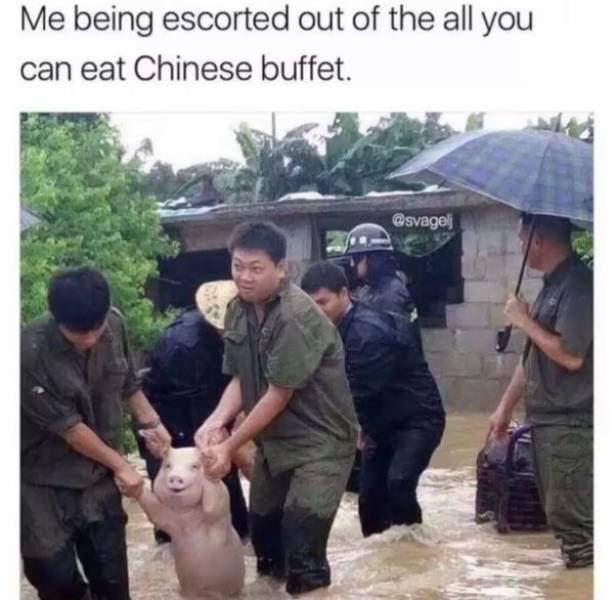 Funny Memes (48 pics)