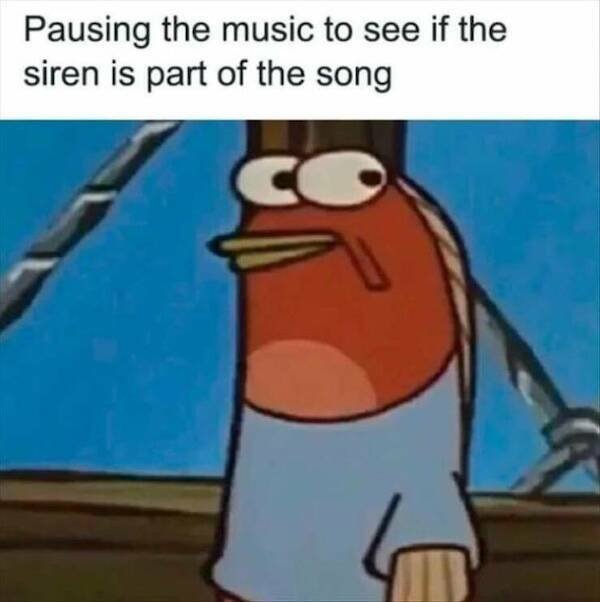 Truthful Memes (20 pics) Truthful Memes (20 pics)