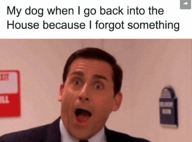 Truthful Memes (20 pics) Truthful Memes (20 pics)