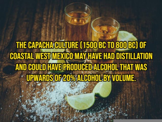 Historical Facts (15 pics) Historical Facts (15 pics)