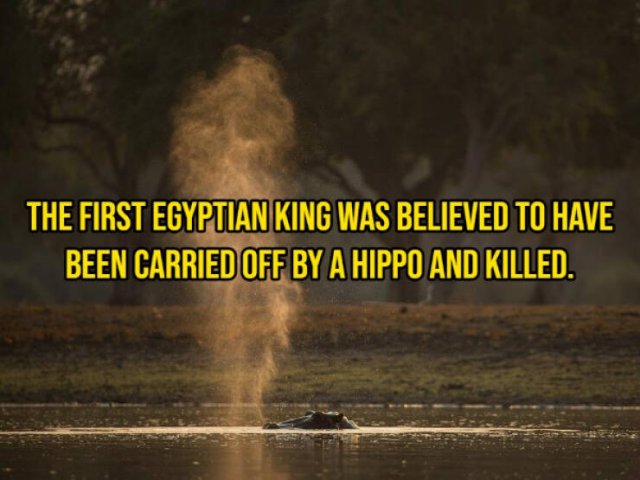 Historical Facts (15 pics) Historical Facts (15 pics)