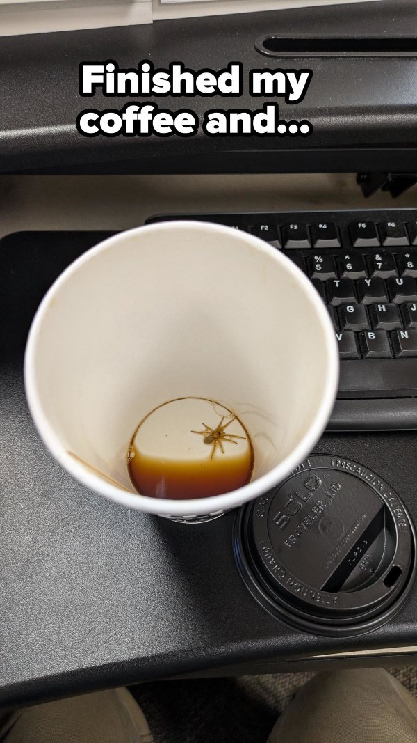 Bad Days Happen (28 pics) Bad Days Happen (28 pics)