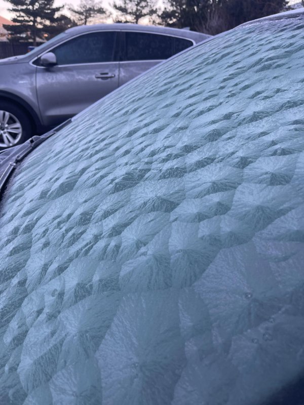 Interesting Finds (25 pics)