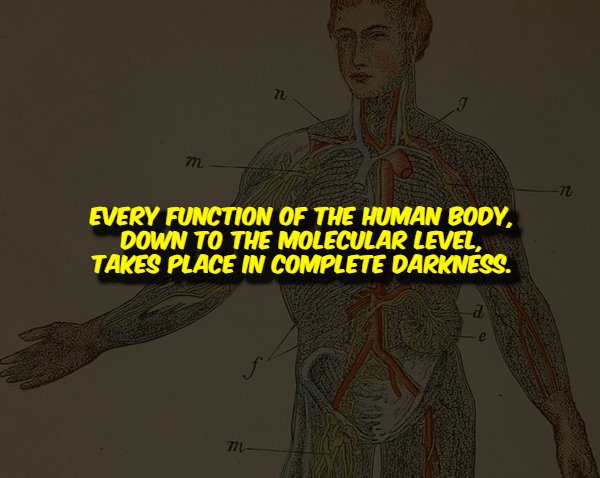 Creepy Facts (15 pics) Creepy Facts (15 pics)