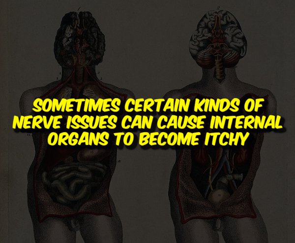 Creepy Facts (15 pics) Creepy Facts (15 pics)