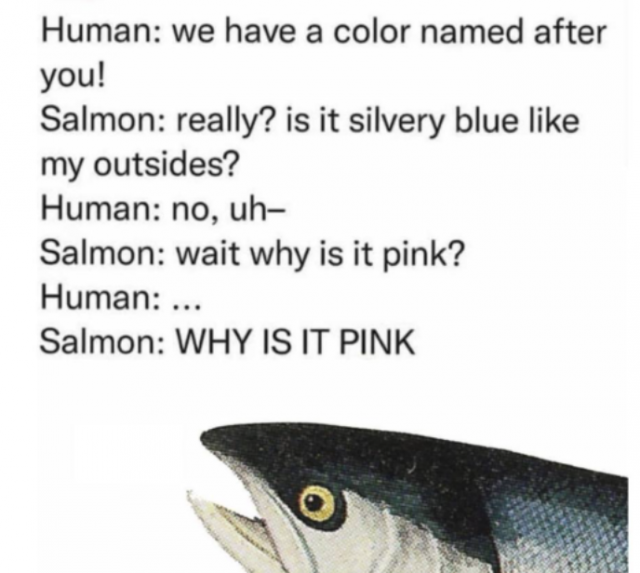 Random Memes (35 pics)