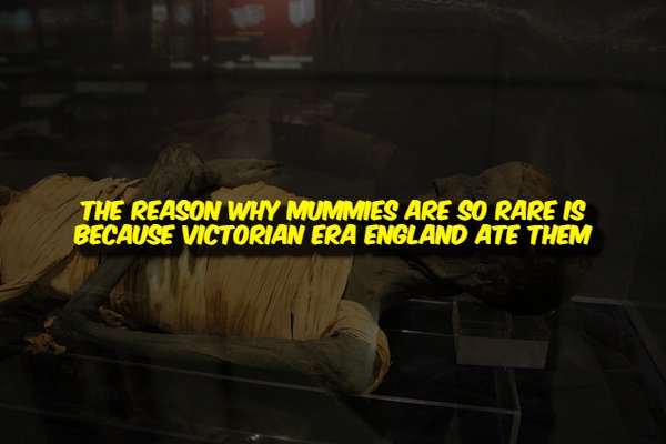 Creepy Facts (15 pics) Creepy Facts (15 pics)