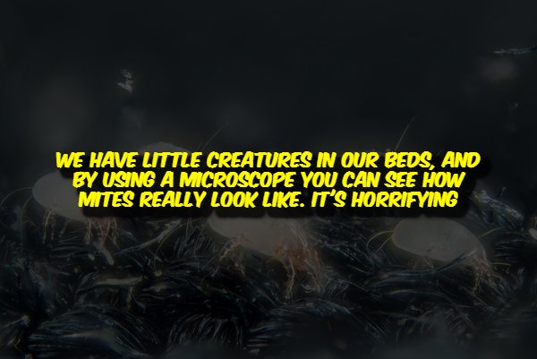 Creepy Facts (15 pics)