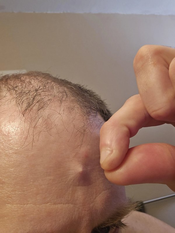 Interesting Finds (25 pics)