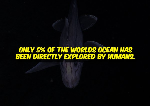 Creepy Facts (15 pics) Creepy Facts (15 pics)