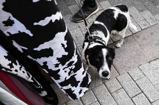 Right Moment (25 pics) Right Moment (25 pics)