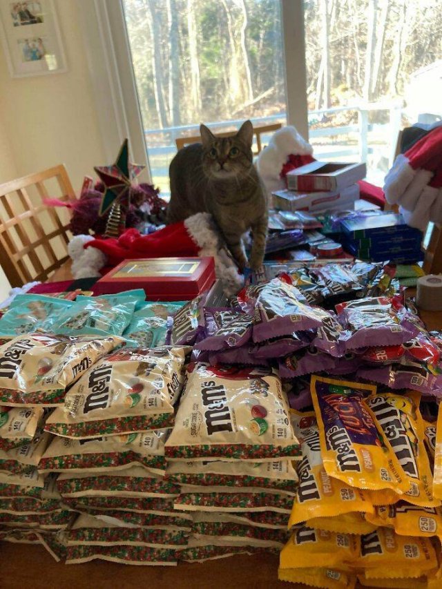 Cool Free Finds (50 pics)