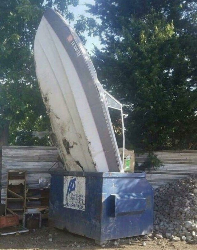 Cool Free Finds (50 pics)