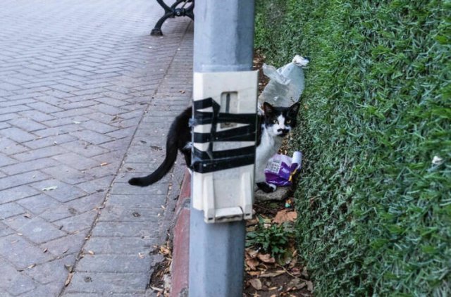 Right Moment (25 pics) Right Moment (25 pics)