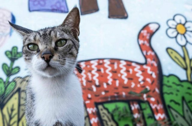 Right Moment (25 pics) Right Moment (25 pics)