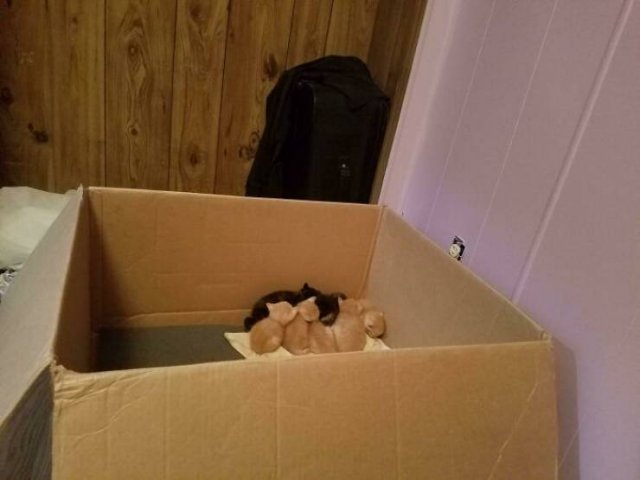 Cool Free Finds (50 pics)