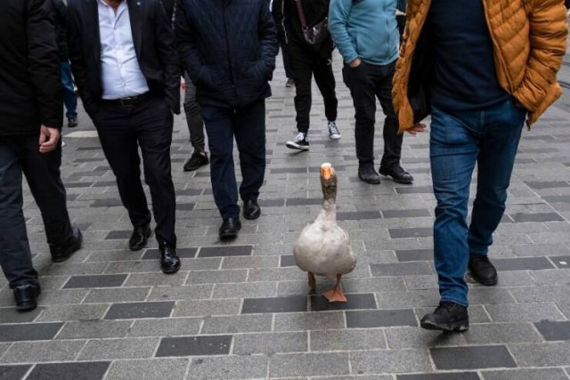 Right Moment (25 pics) Right Moment (25 pics)