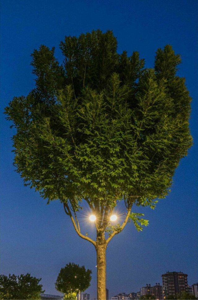 Right Moment (25 pics) Right Moment (25 pics)