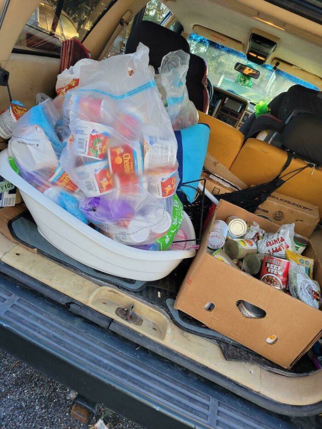 Cool Free Finds (50 pics)