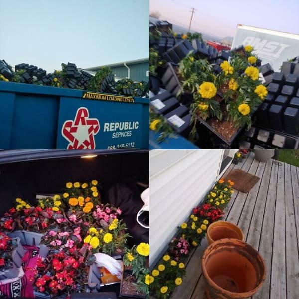 Cool Free Finds (50 pics)