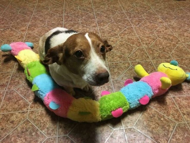 Cool Free Finds (50 pics)