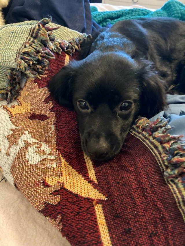 Cool Free Finds (50 pics)