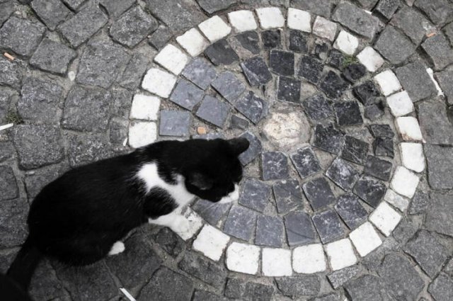 Right Moment (25 pics) Right Moment (25 pics)