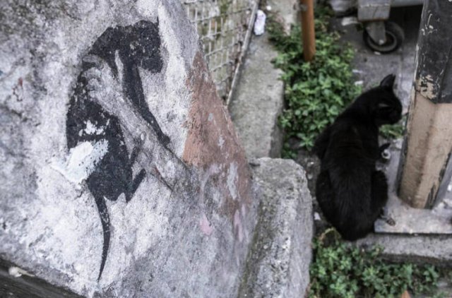 Right Moment (25 pics) Right Moment (25 pics)