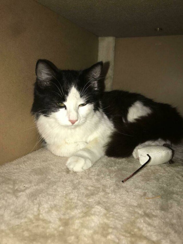 Cool Free Finds (50 pics)