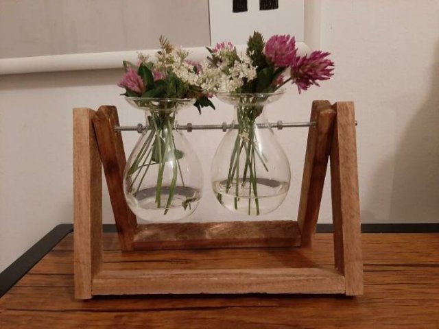 Cool Free Finds (50 pics)