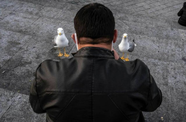 Right Moment (25 pics) Right Moment (25 pics)