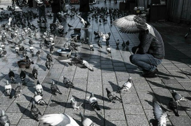 Right Moment (25 pics) Right Moment (25 pics)