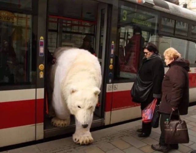 Interesting Photos From Around The World (46 pics)