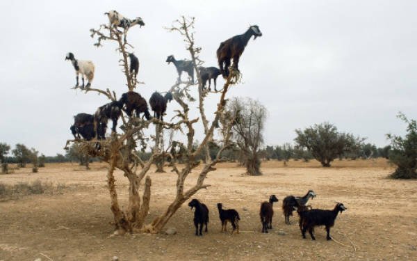 Interesting Photos From Around The World (46 pics)