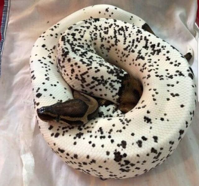 Interesting Photos From Around The World (46 pics)