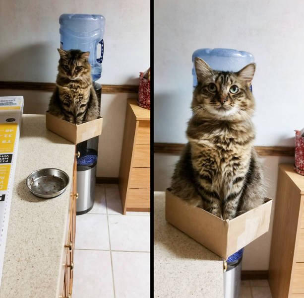 Interesting Photos From Around The World (46 pics)