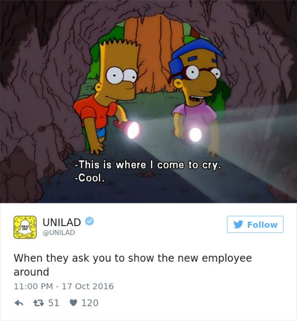 Work Memes (28 pics)