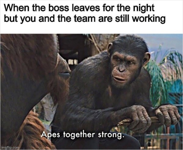 Work Memes (28 pics)