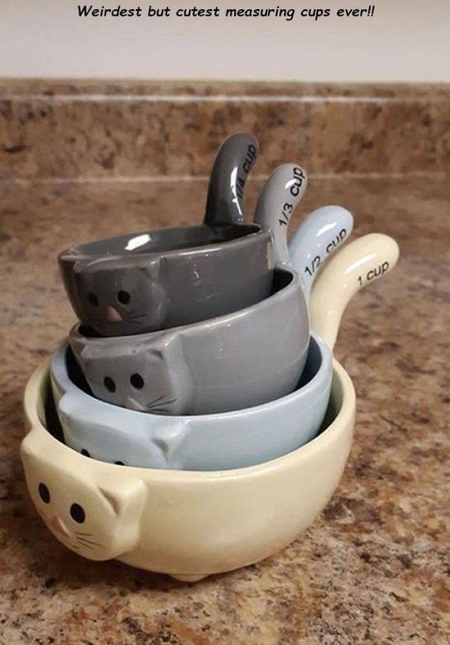 Weird Finds In Thrift Shops (35 pics)